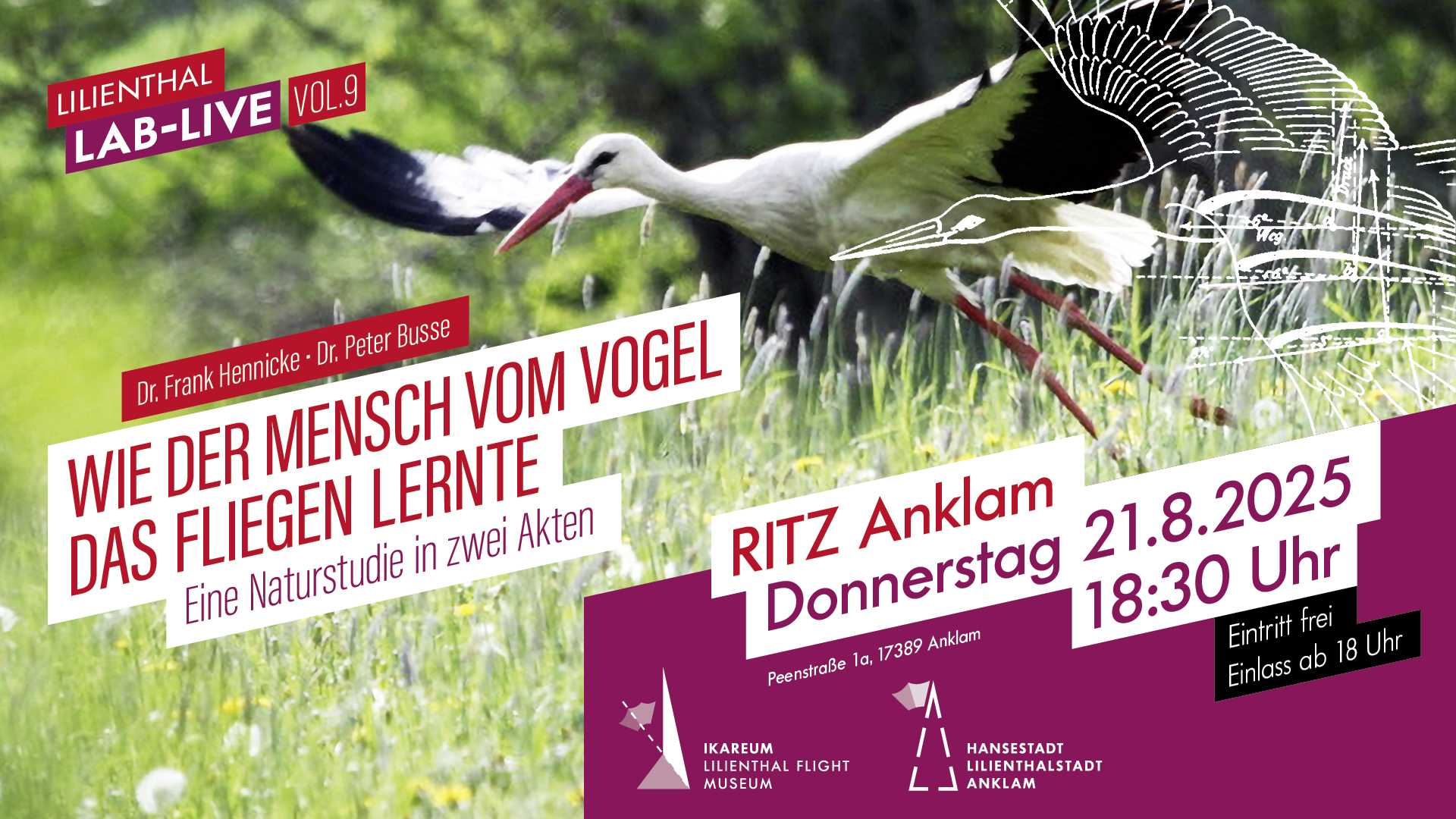 Vom Vogel gelernt