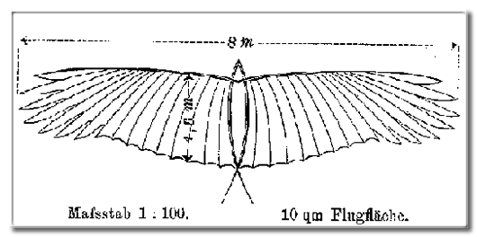 original drawing